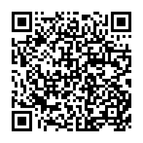 QR Code for The Third World