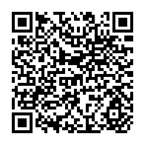 QR Code for The role of agriculture in economic development
