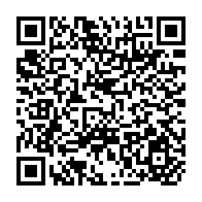 QR Code for Study of the Extension of Plant Protection Measures in Agricultural Production