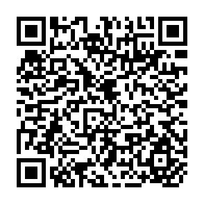 QR Code for Morphology and Apical Development of the Rice Plant