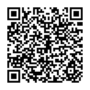 QR Code for Global Economic Prospects and The Developing Countries