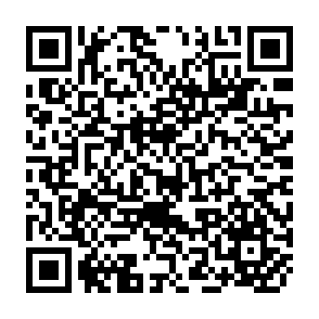 QR Code for A new manual of classification