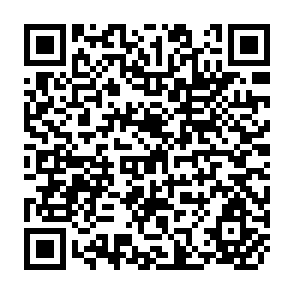 QR Code for The Road to a Free Economy: Shifting From a Socialist System: The Example of Hungary