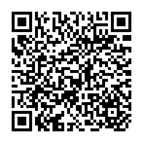 QR Code for The Measurement of Real Progress at the Local Level