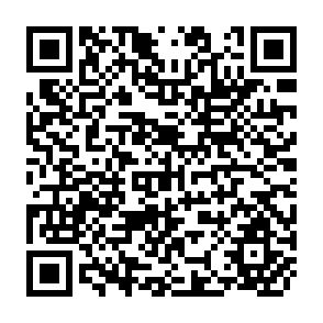 QR Code for Agricultural Price Policy In Asia And The Pacific