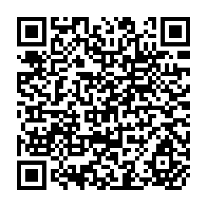 QR Code for Devlopment Planning in South-East Asia (An Input Output Approach)