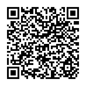 QR Code for ASEM and ASIAN Prospects within the Evolving World Economy
