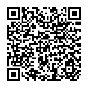 QR Code for Social Capital in Developing Societies : Reconsidering the Links Between Civil Agency, Economy and the State in the Development Process