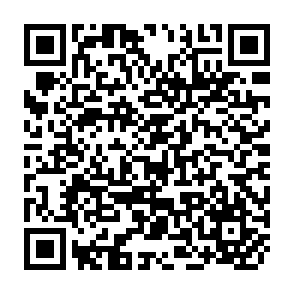 QR Code for Measuring socio- economic gender inequality : towards an alternative to the UNDP gender realated development index