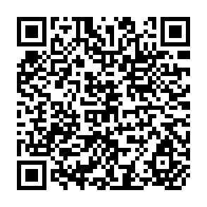 QR Code for Missing Men? The Debate over Rural Poverty and Women-Headed Households in Southern Africa