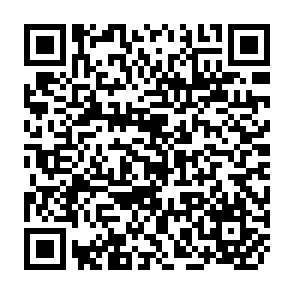 QR Code for Critical globalisation theory and the global women's movements? Some propositions on solidarity,Communication and citizenship