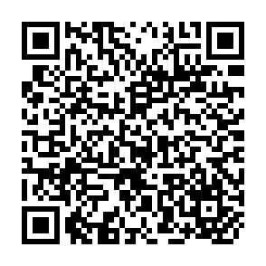 QR Code for Gender and human development : A feminist perspective