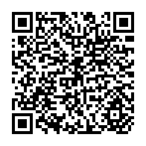 QR Code for Poverty and Dualistic Growth in Paraguay
