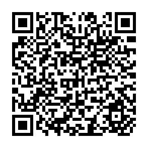 QR Code for Why some People Resist and others Do Not :Local Perceptions and Actions over Displacement Risks on the Sardar Sarov Ar