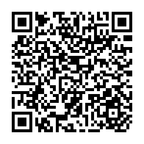 QR Code for We Earn Only for You' : Structural Adjustment and Rural Markets in Northern Pakistan