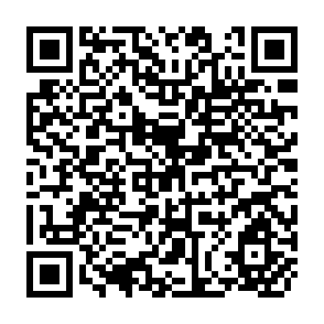 QR Code for The Sociology of Economic Development