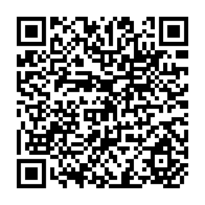 QR Code for Ecotourism, nature conservation and research methodologies for planning