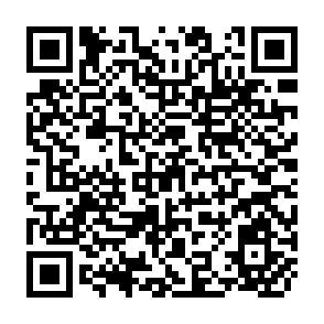 QR Code for Food Aid and International Economic Growth