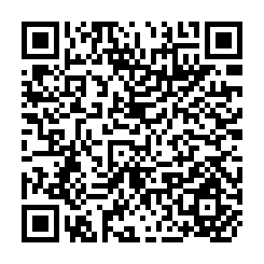 QR Code for Market Prospects for Pules in South Asia: International and Domestic Trade
