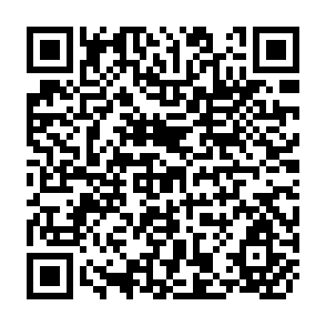 QR Code for Remittances, Inequality and Asset Accumulation : The case of Rural Pakistan