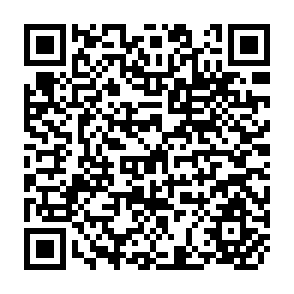 QR Code for A Critique of the world development report 1994: Infrastructure for development