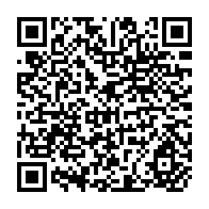 QR Code for Priority Setting in Food and Agriculture Policy Research: A Case Study amd Lessons from Malawi