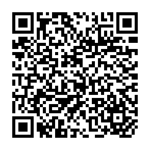 QR Code for Women Feed The World