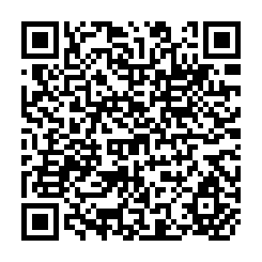 QR Code for Medical Plants An Expanding Role in Development