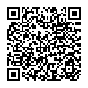 QR Code for Sociocybernetic Paradoxes