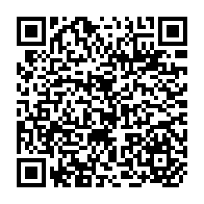 QR Code for Surviving Your Dissertation