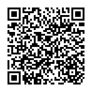 QR Code for Handbook of Research Design and Social Measurement