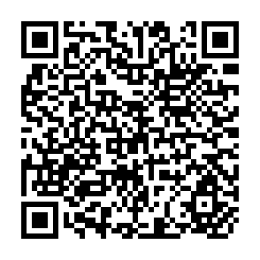 QR Code for Multivariate Analysis of Categorical Data:Applications