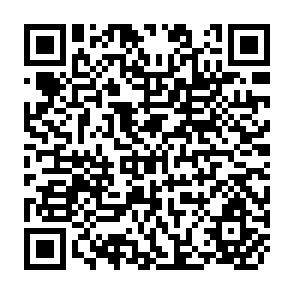 QR Code for The Public Sector