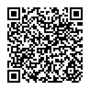 QR Code for The Process of Development of Societies