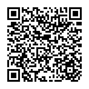 QR Code for Wood Energy Development: Planning, Policies and Strategies - Volume I