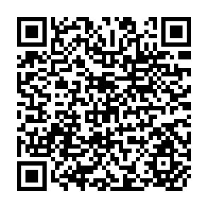 QR Code for Institutional Development of Local Organisations in the Context of Farmer-Led Extension: The Agroforestry Programme of the Mag'Uugmad Foundation