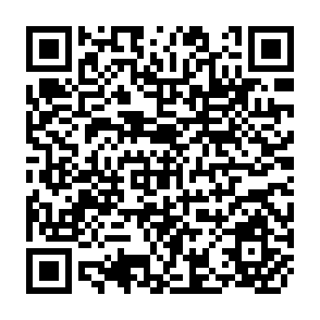 QR Code for A Global Programme on Participatory Research and Gender Analysis for Technology Development and Organizational Innovation