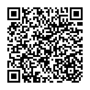 QR Code for Crisis in transitions: non-governmental organizations and political economic change in the Andean region