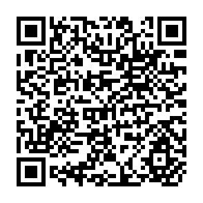 QR Code for Report of the fifteenth session of the Study Group on Rice to the Committee on Commodity Problems