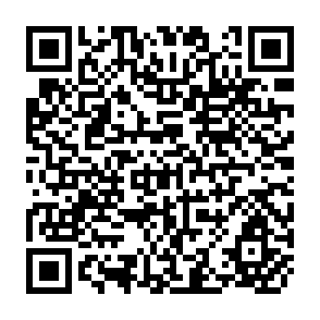 QR Code for Grameen Bank Performance and Sustainability