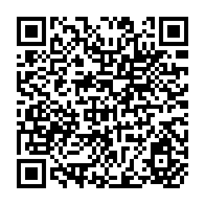 QR Code for The World Bank and Irrigation