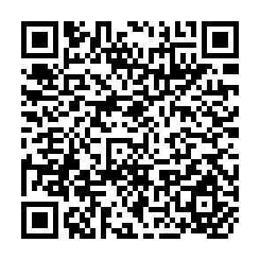QR Code for Proceedings of the National Training Workshop on Woodfuel Trade in Pakistan