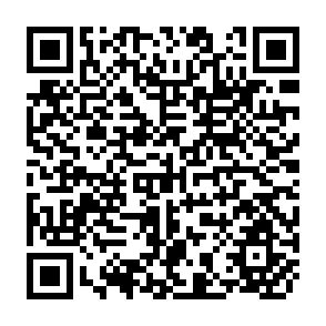 QR Code for ISNAR's Achievements,Impacts, and Constraints: An assessment of organizational performance and institutional impact