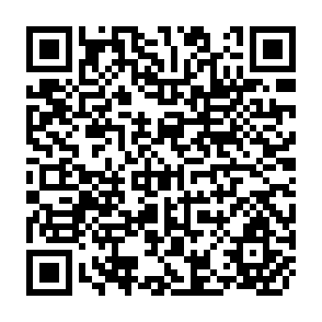 QR Code for The Role of Economic Reform, Social Learning And Human Capital Accumulation In Productivity Growth
