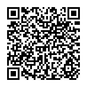 QR Code for Agricultural Training in SAARS Countries