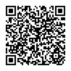 QR Code for The Efficacy of the Nation State in South Asia: A Post - Nationalist Critique