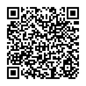QR Code for Global Economic Prospects and the Developing Countries