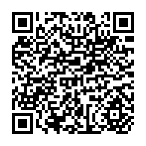 QR Code for Management Information Systems