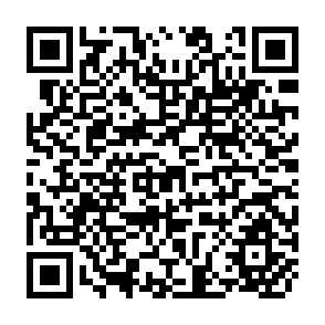 QR Code for The Globalization of Poverty- Impacts of IMF and World Bank Reforms