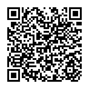 QR Code for Asia and the Pacific National Forest Programmes